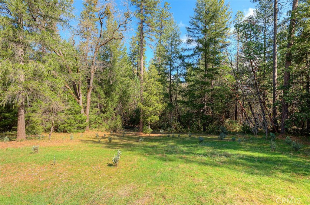 712 Bloomer Hill Road Berry Creek, CA 95916 - Photo 34 of 52