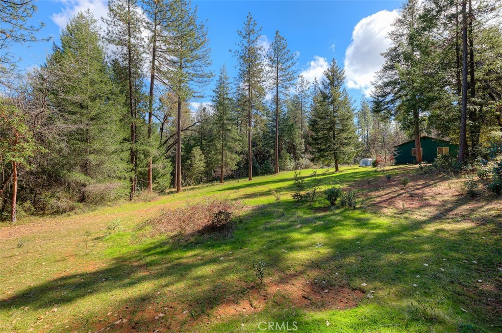 712 Bloomer Hill Road Berry Creek, CA 95916 - Photo 35 of 52