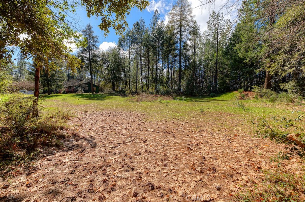 712 Bloomer Hill Road Berry Creek, CA 95916 - Photo 37 of 52