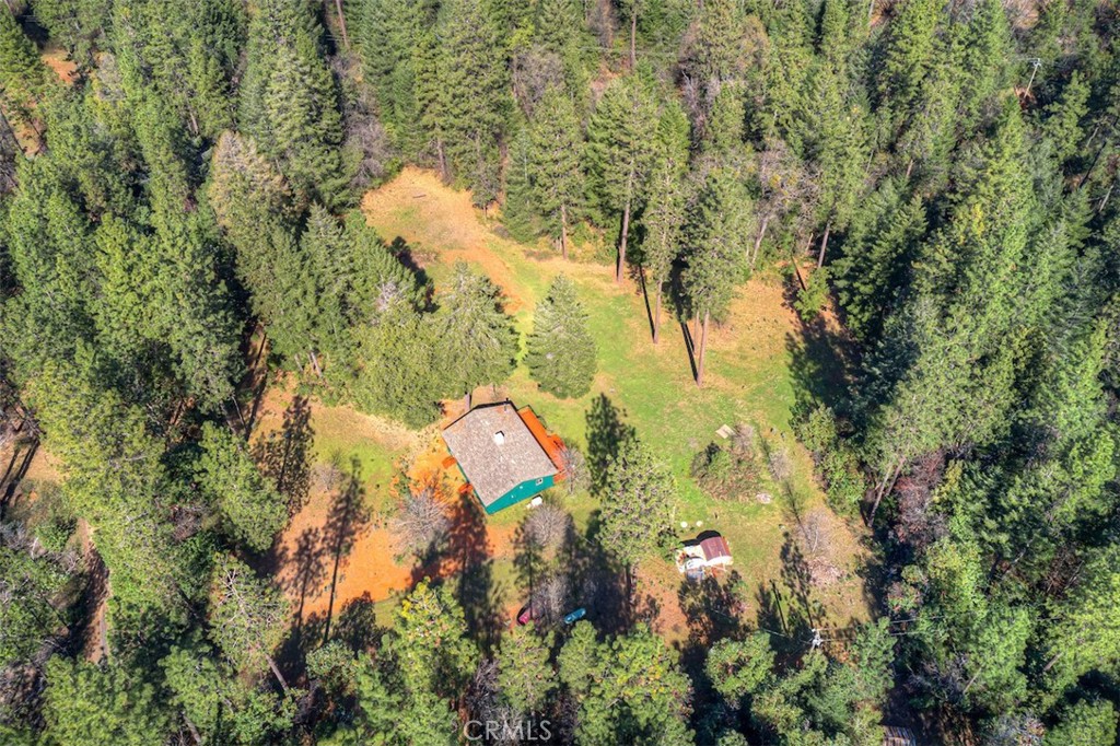 712 Bloomer Hill Road Berry Creek, CA 95916 - Photo 38 of 52