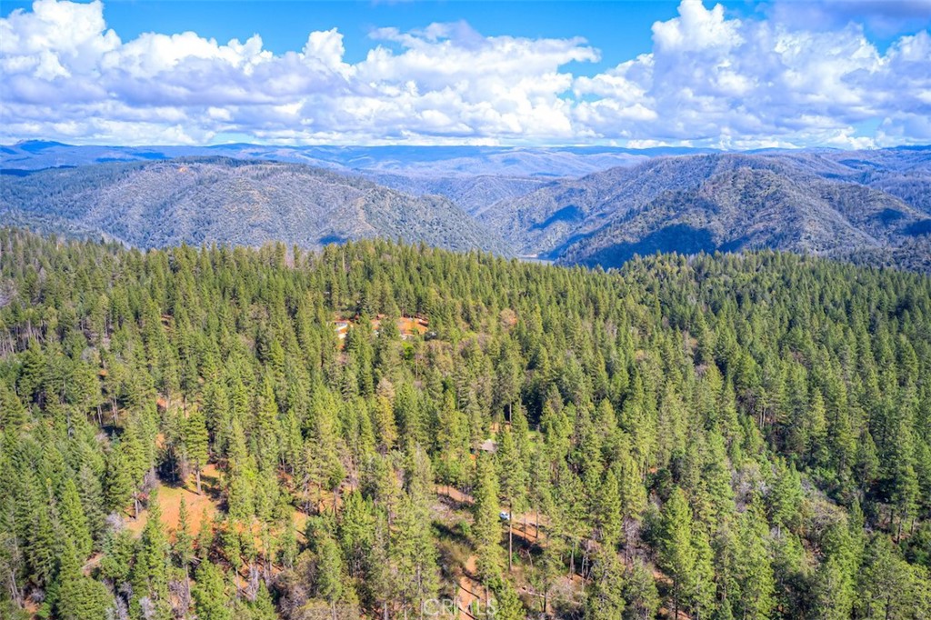 712 Bloomer Hill Road Berry Creek, CA 95916 - Photo 40 of 52