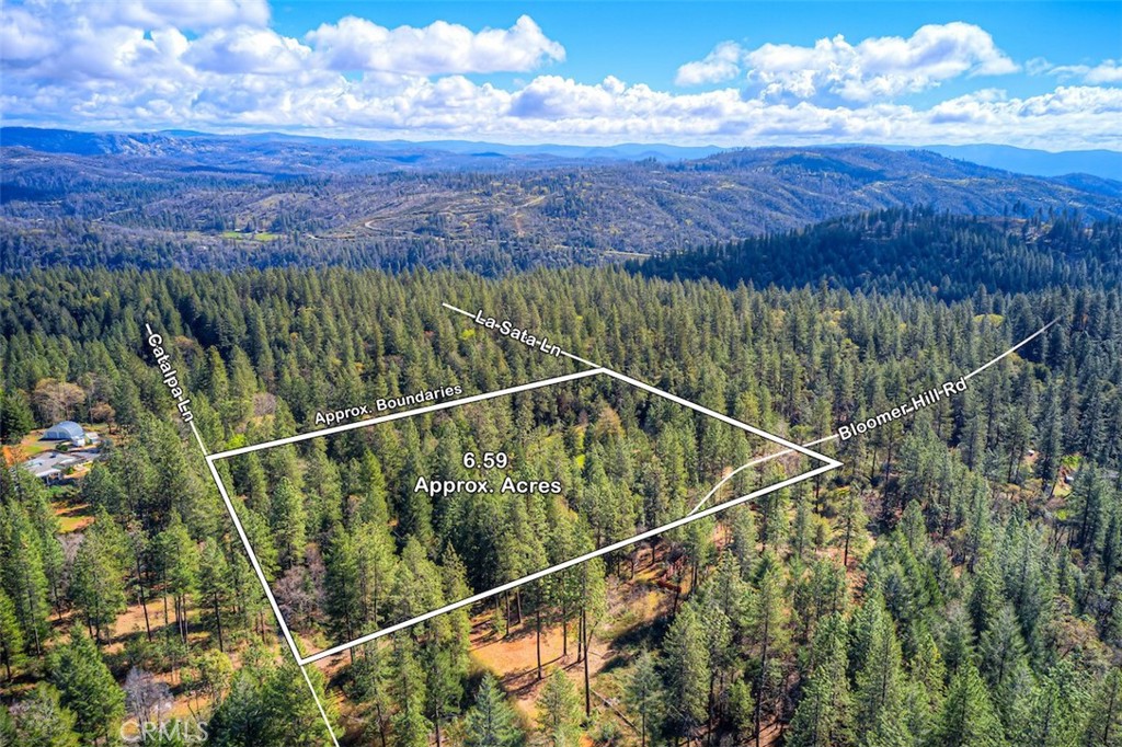 712 Bloomer Hill Road Berry Creek, CA 95916 - Photo 42 of 52