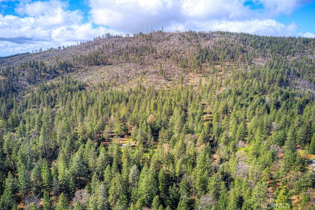 712 Bloomer Hill Road Berry Creek, CA 95916 - Photo 44 of 52