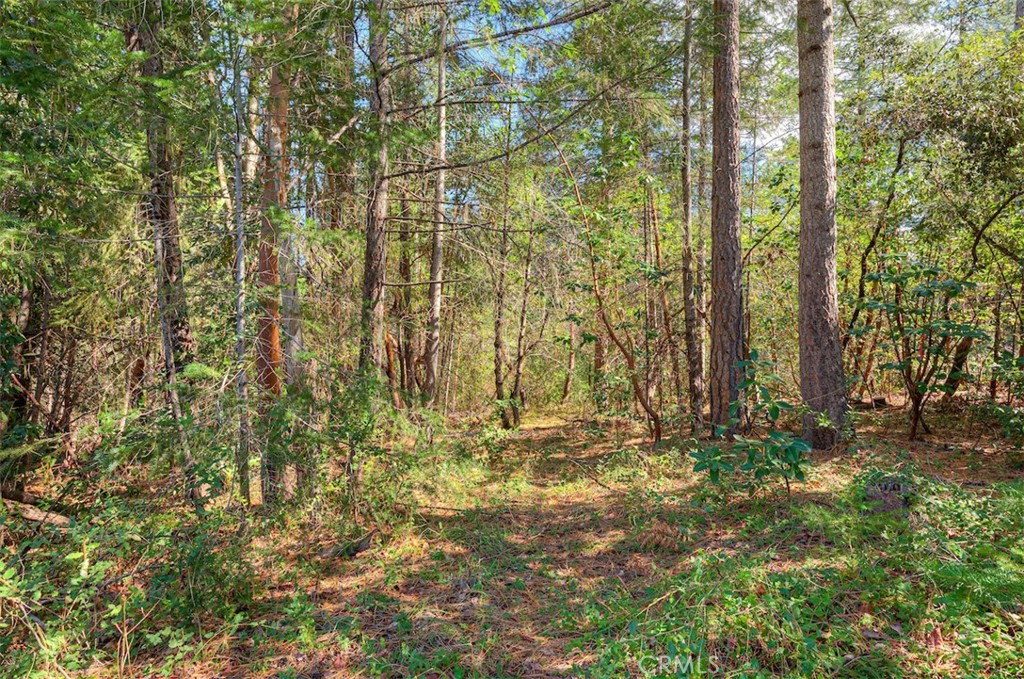 712 Bloomer Hill Road Berry Creek, CA 95916 - Photo 46 of 52