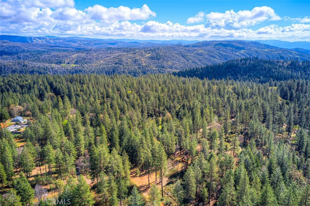 712 Bloomer Hill Road Berry Creek, CA 95916 - Photo 47 of 52