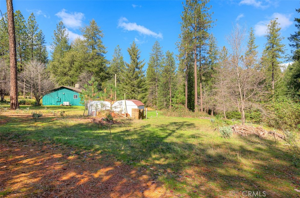 712 Bloomer Hill Road Berry Creek, CA 95916 - Photo 48 of 52