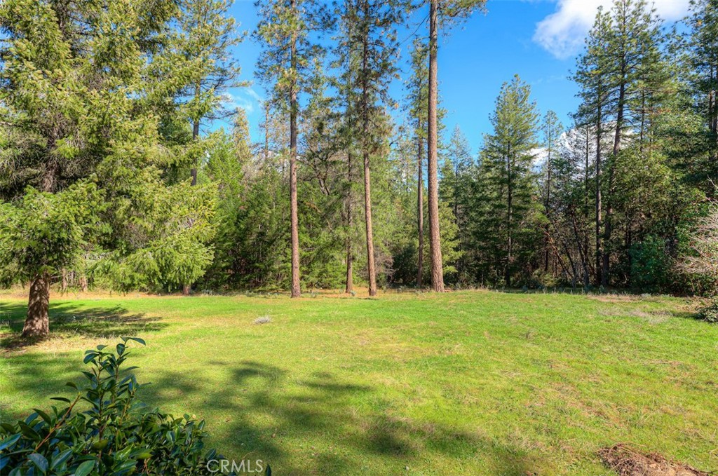 712 Bloomer Hill Road Berry Creek, CA 95916 - Photo 7 of 52