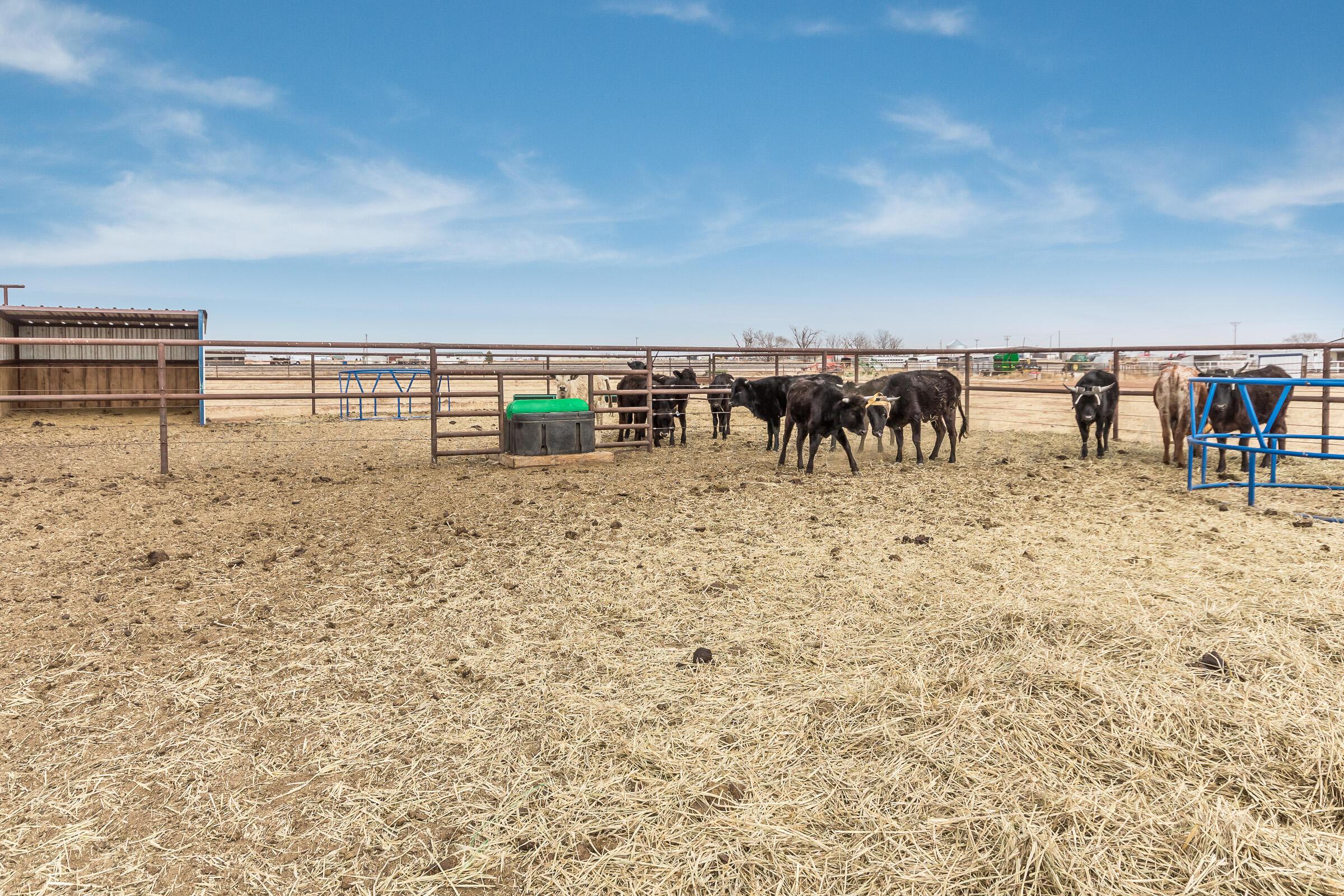 23000 Arnot Road Canyon, TX 79015 - Photo 37 of 54 Back Land-8