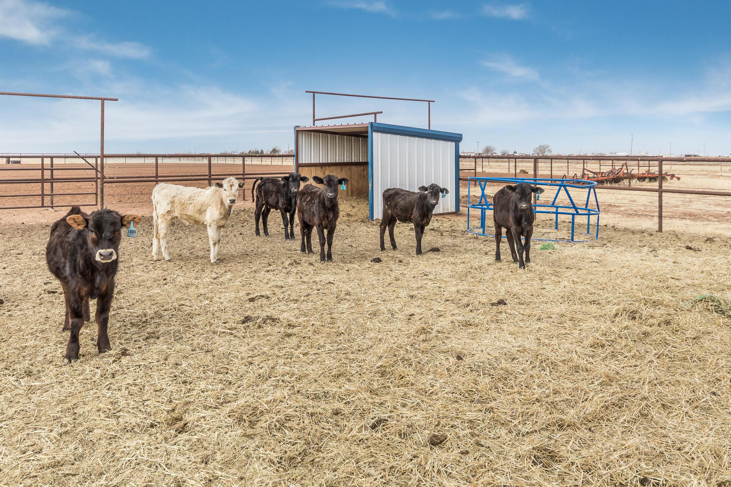 23000 Arnot Road Canyon, TX 79015 - Photo 38 of 54 Back Land-9