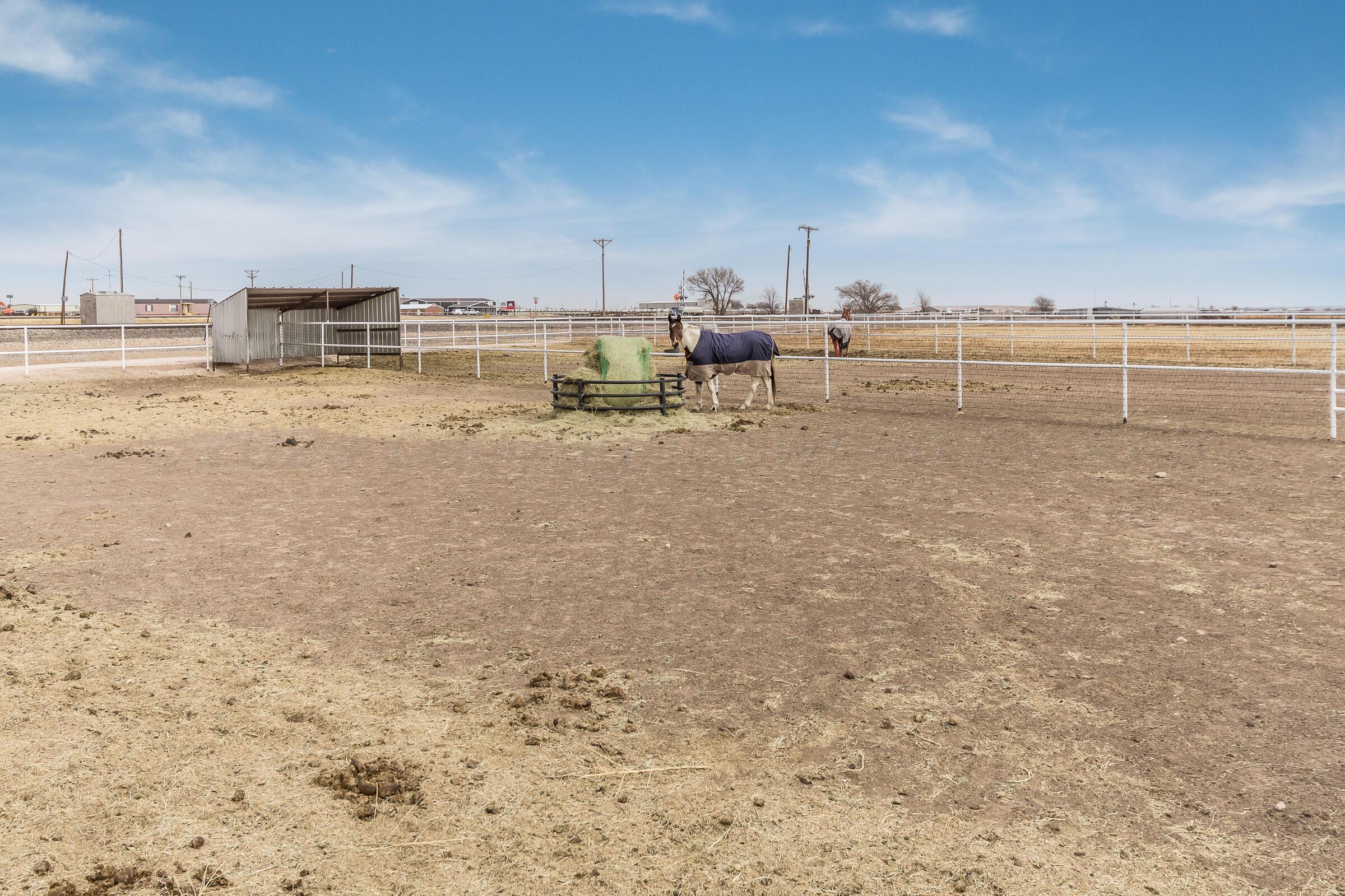 23000 Arnot Road Canyon, TX 79015 - Photo 39 of 54 Back Land-10