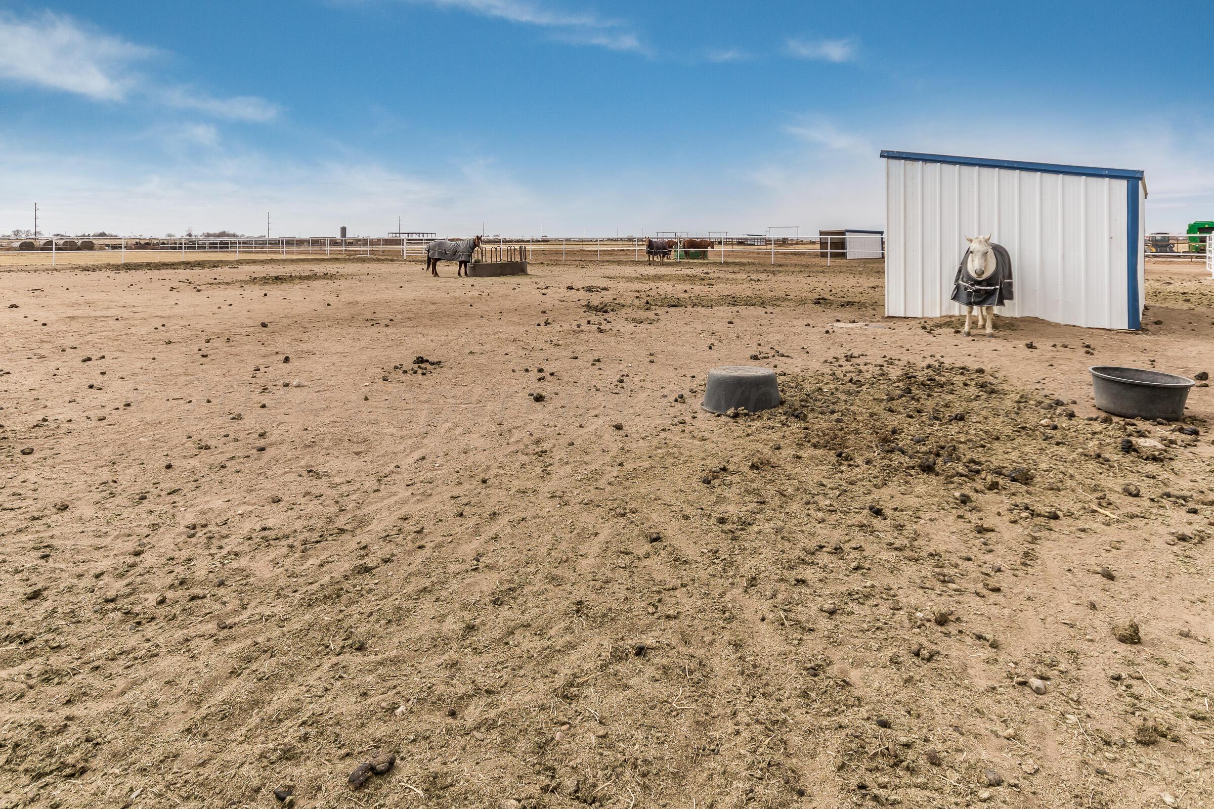 23000 Arnot Road Canyon, TX 79015 - Photo 49 of 54 55-print-Side Pasture