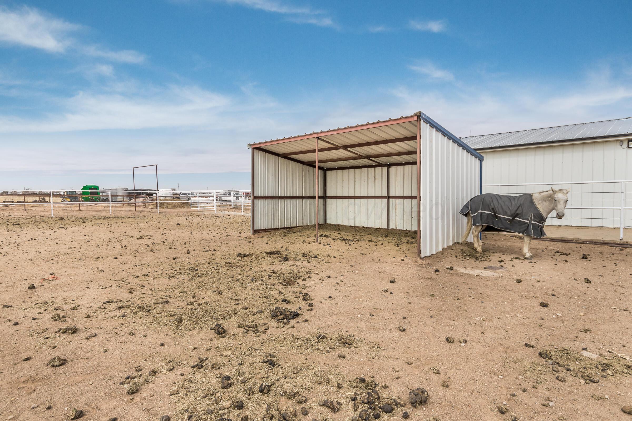 23000 Arnot Road Canyon, TX 79015 - Photo 50 of 54 56-print-Side Pasture-2