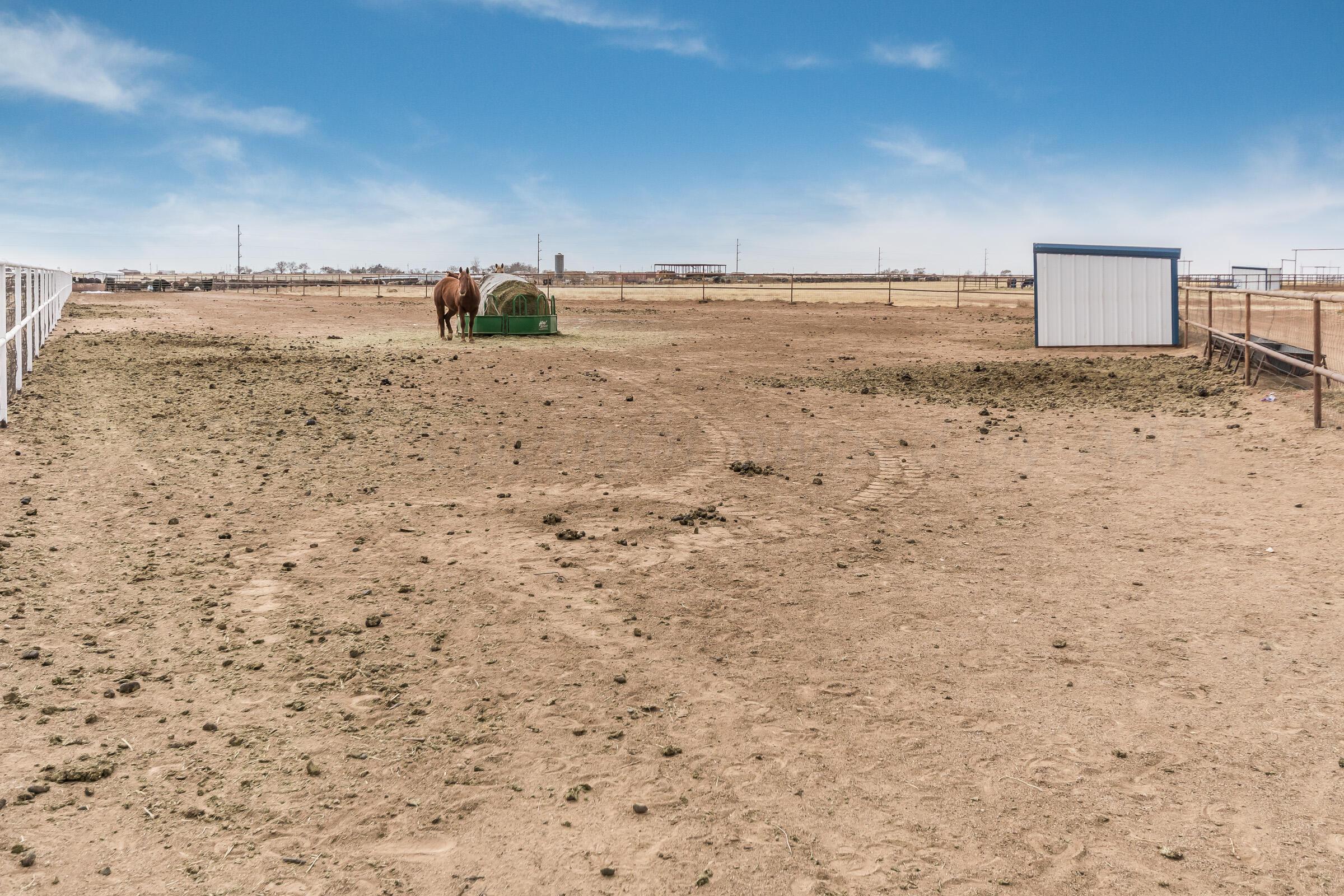 23000 Arnot Road Canyon, TX 79015 - Photo 51 of 54 57-print-Side Pasture-3