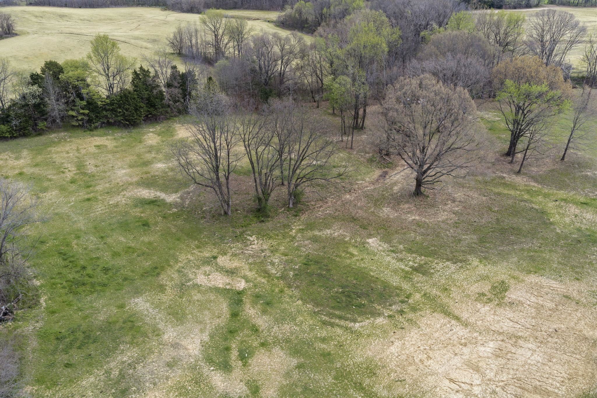 43 Shoaf Road Covington, TN 38019 - Photo 2 of 39