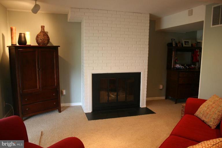 7200 Racepoint Way Alexandria, VA 22315 - Photo 22 of 29 Gas Fireplace