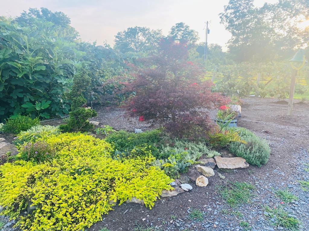 504 Etowah Road Benton, TN 37307 - Photo 19 of 46 Gallery Image 19