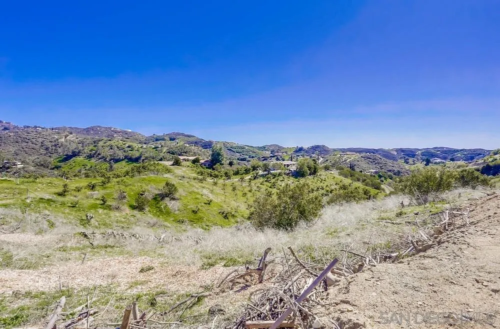 39431 American Road Fallbrook, CA 92028 - Photo 60 of 62 a view of a yard with a mountain