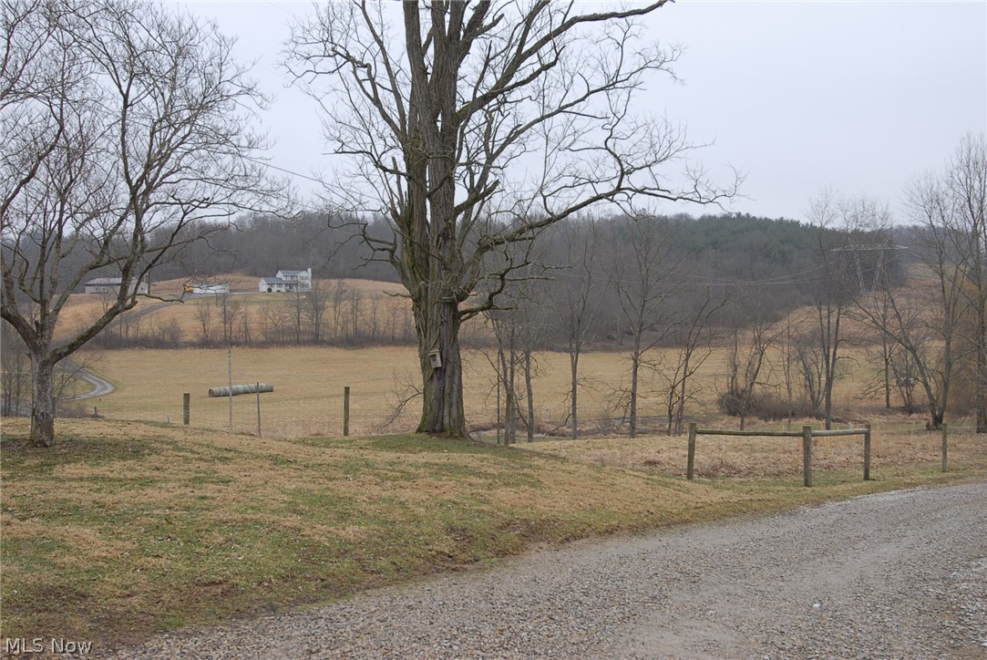 10255 North Morrison Road Dresden, OH 43821 - Photo 29 of 30 A View of Lower Pasture from Circular Drive