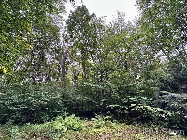 $49,900 | 20442 Pinewood Road, Newberry, MI 49868