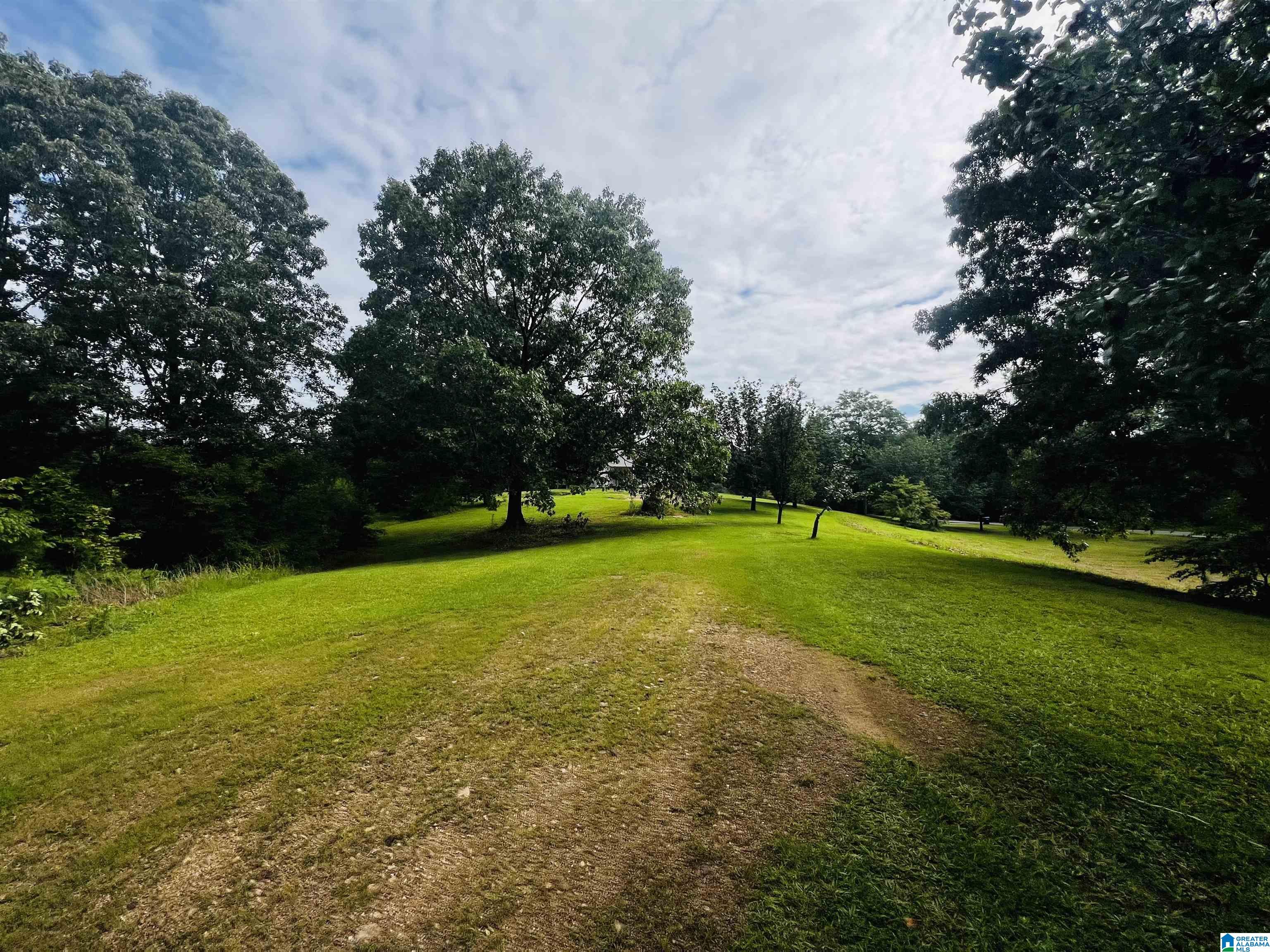 1315 Thompson Road Ohatchee, AL 36271 - Photo 35 of 39 Gallery Image 35