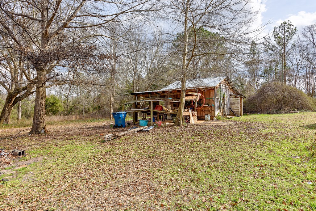 7425 Caton Road Red Level, AL 36474 - Photo 8 of 27