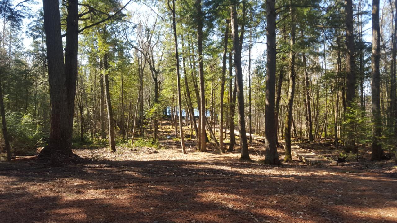 On Everett Road, Unit LOT 2 Eagle River, WI 54521 - Photo 7 of 27 Gallery Image 7