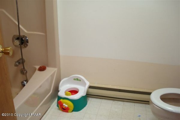 491 Gold Finch Road Bushkill, PA 18324 - Photo 8 of 10 Bath