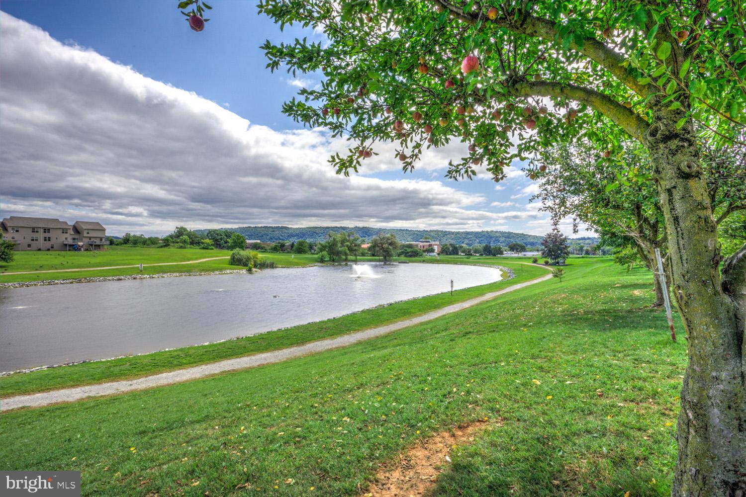 419 Coffee Goss Road Marietta, PA 17547 - Photo 90 of 123