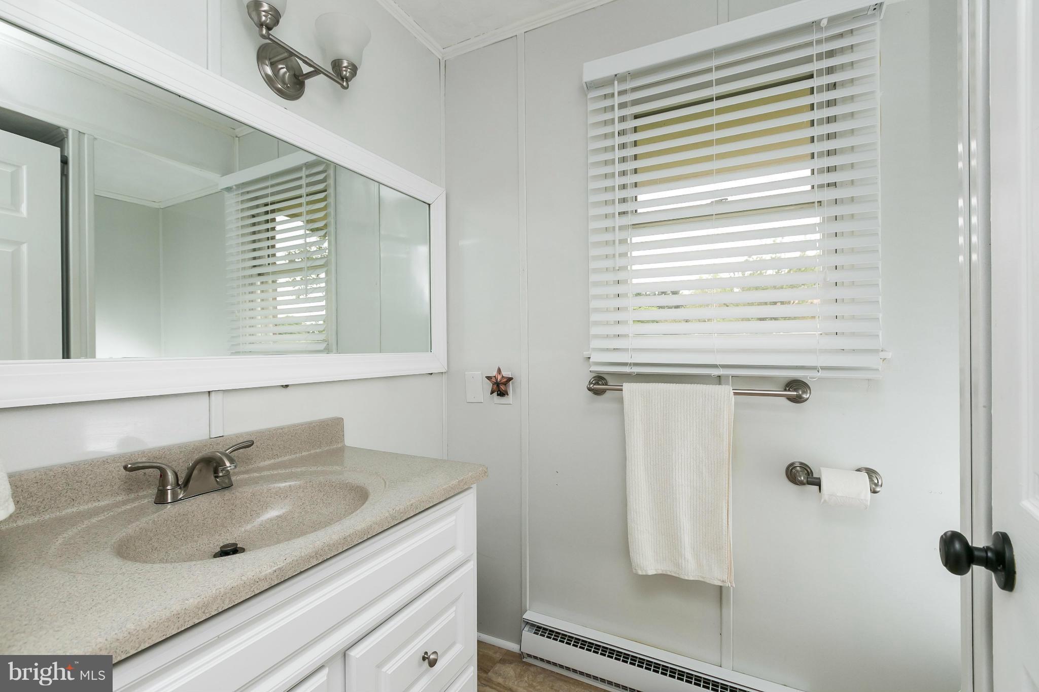 21217 Ridge Road Freeland, MD 21053 - Photo 14 of 29 a bathroom with a sink and a mirror