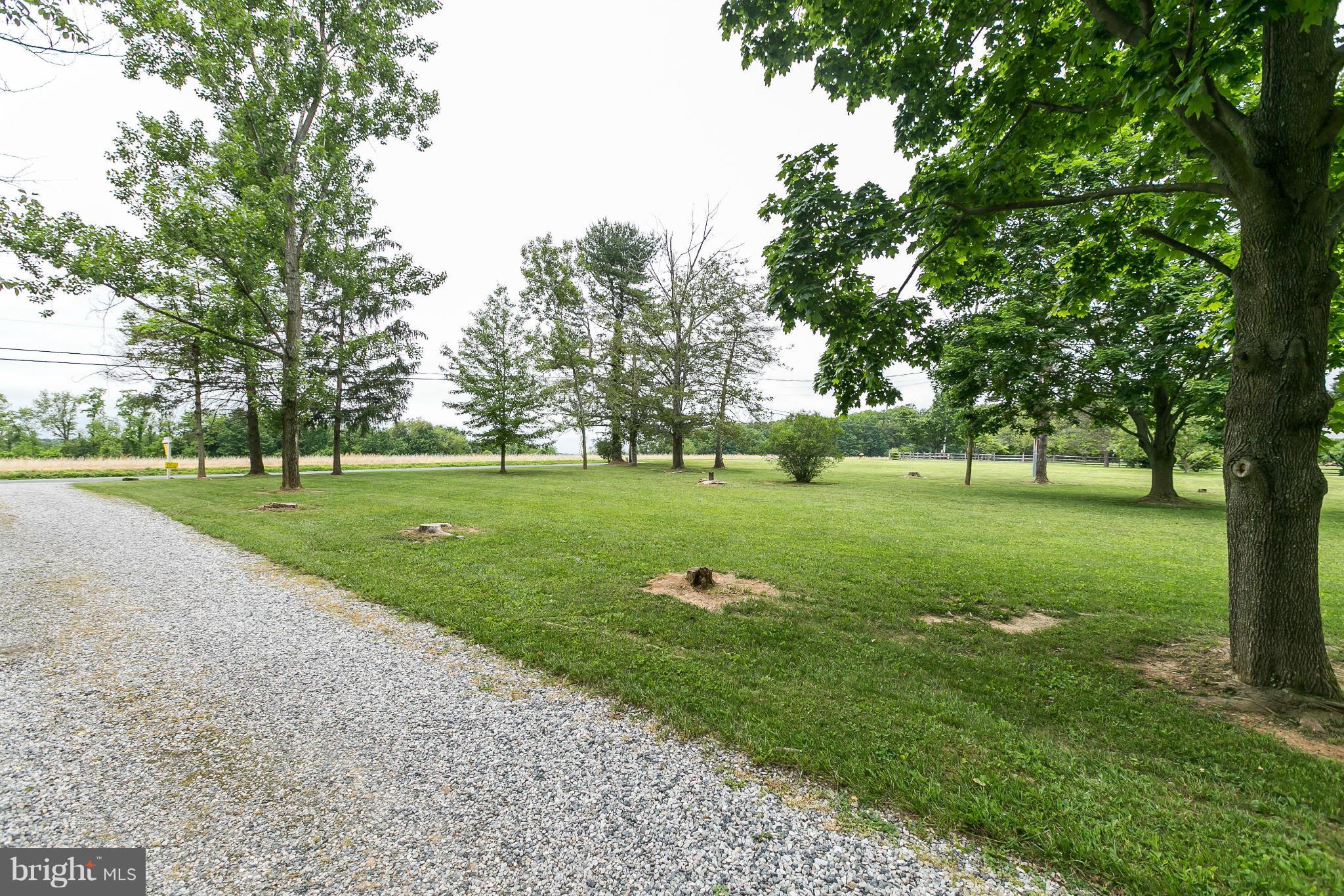21217 Ridge Road Freeland, MD 21053 - Photo 28 of 29 a view of a park with large trees