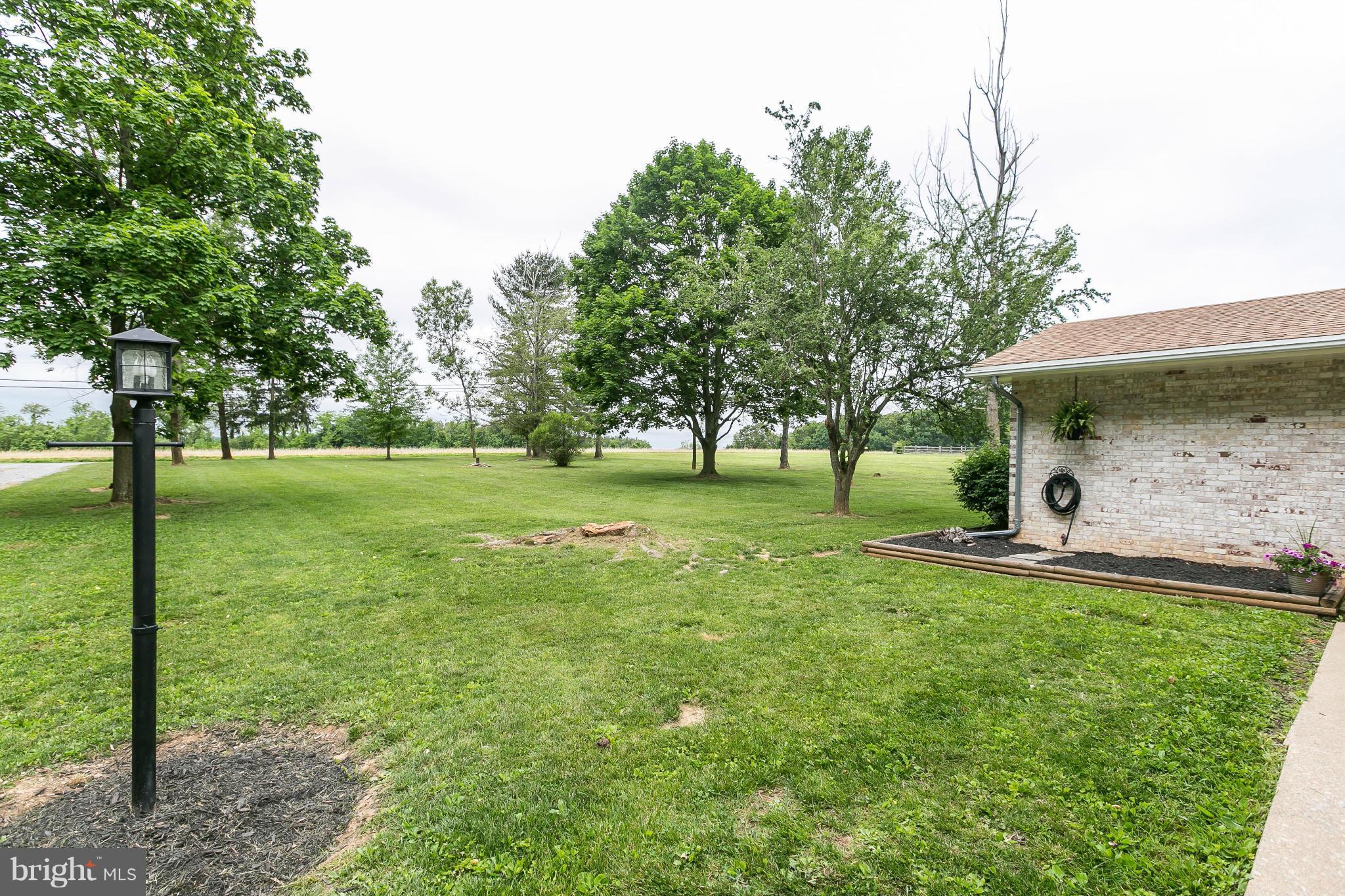 21217 Ridge Road Freeland, MD 21053 - Photo 29 of 29 a view of a trees with a big yard