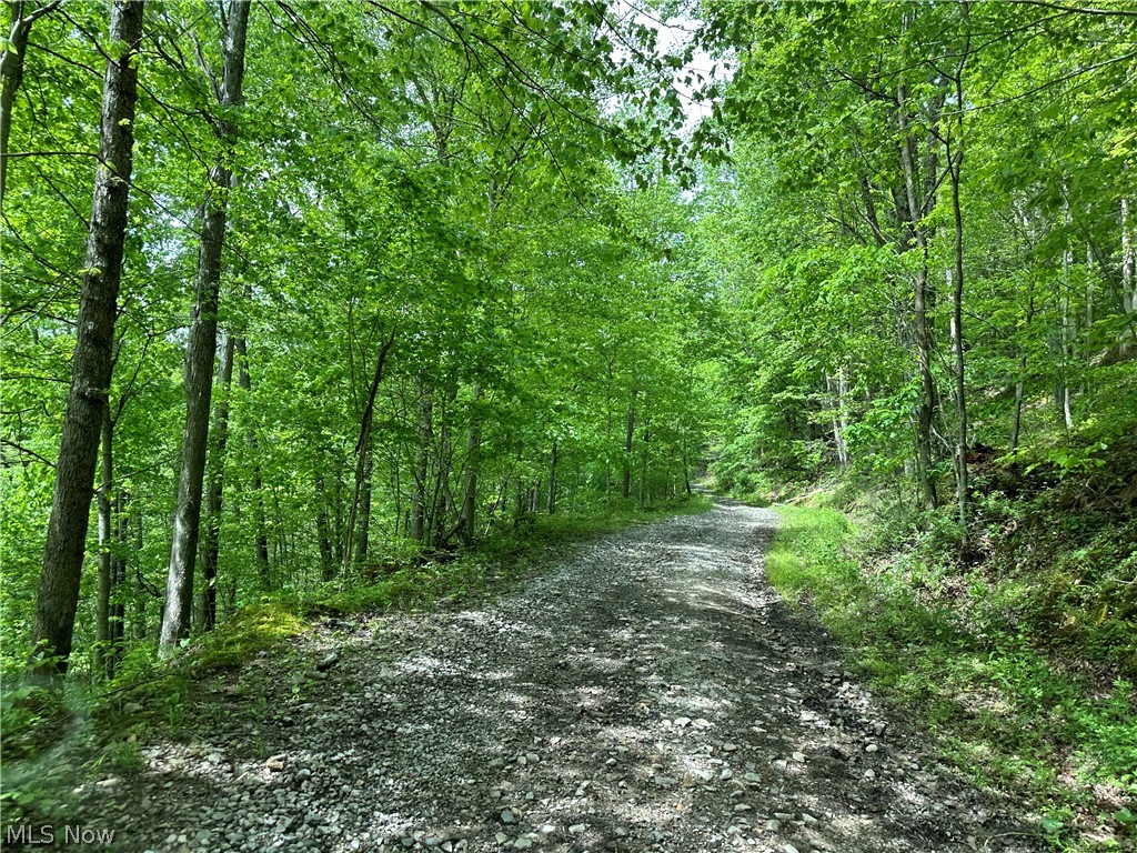2538 Howell Run Road West Union, WV 26456 - Photo 21 of 21