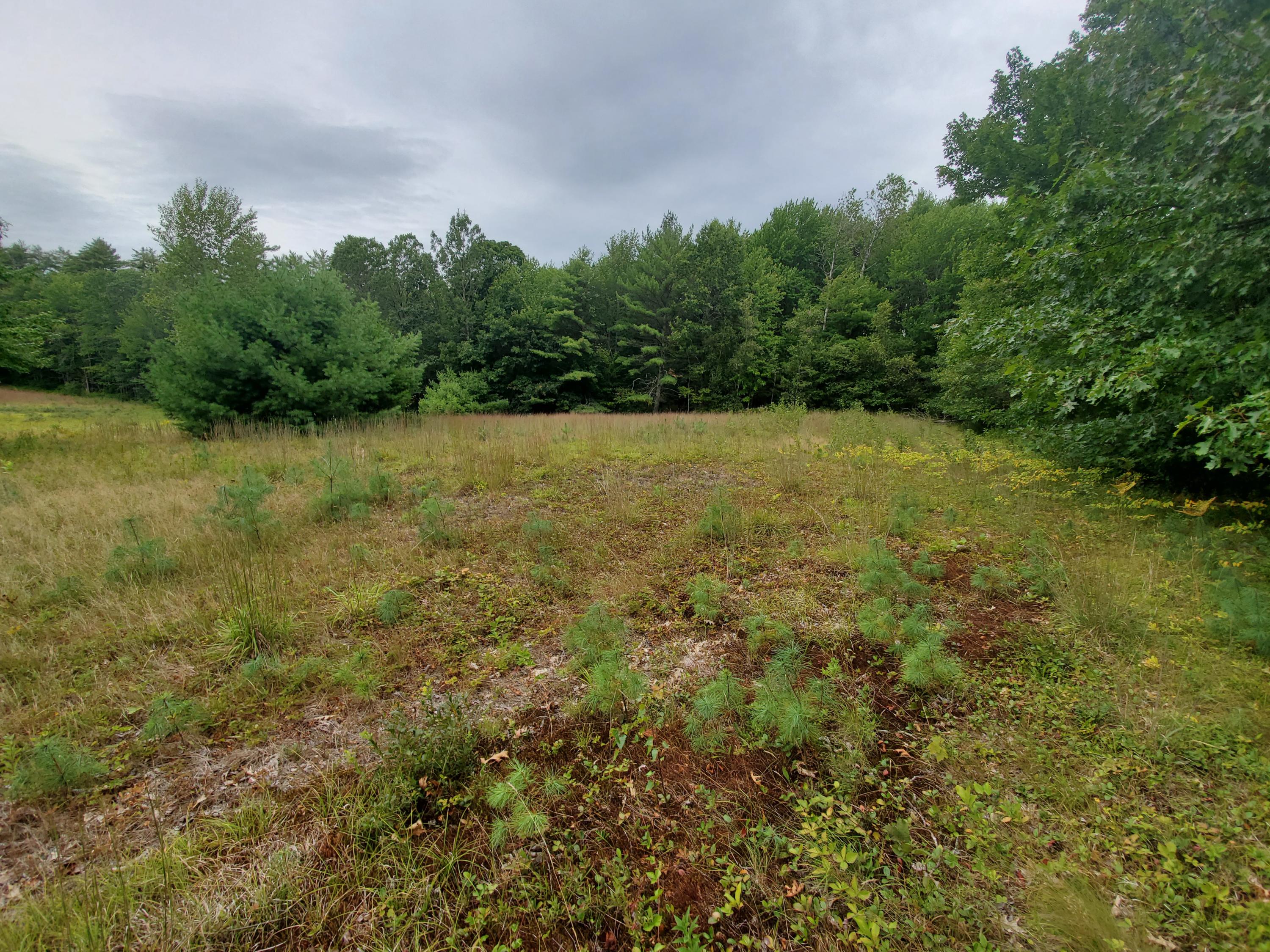 Tbd Blueberry Hill Road Alfred, ME 04002 - Photo 8 of 11 7