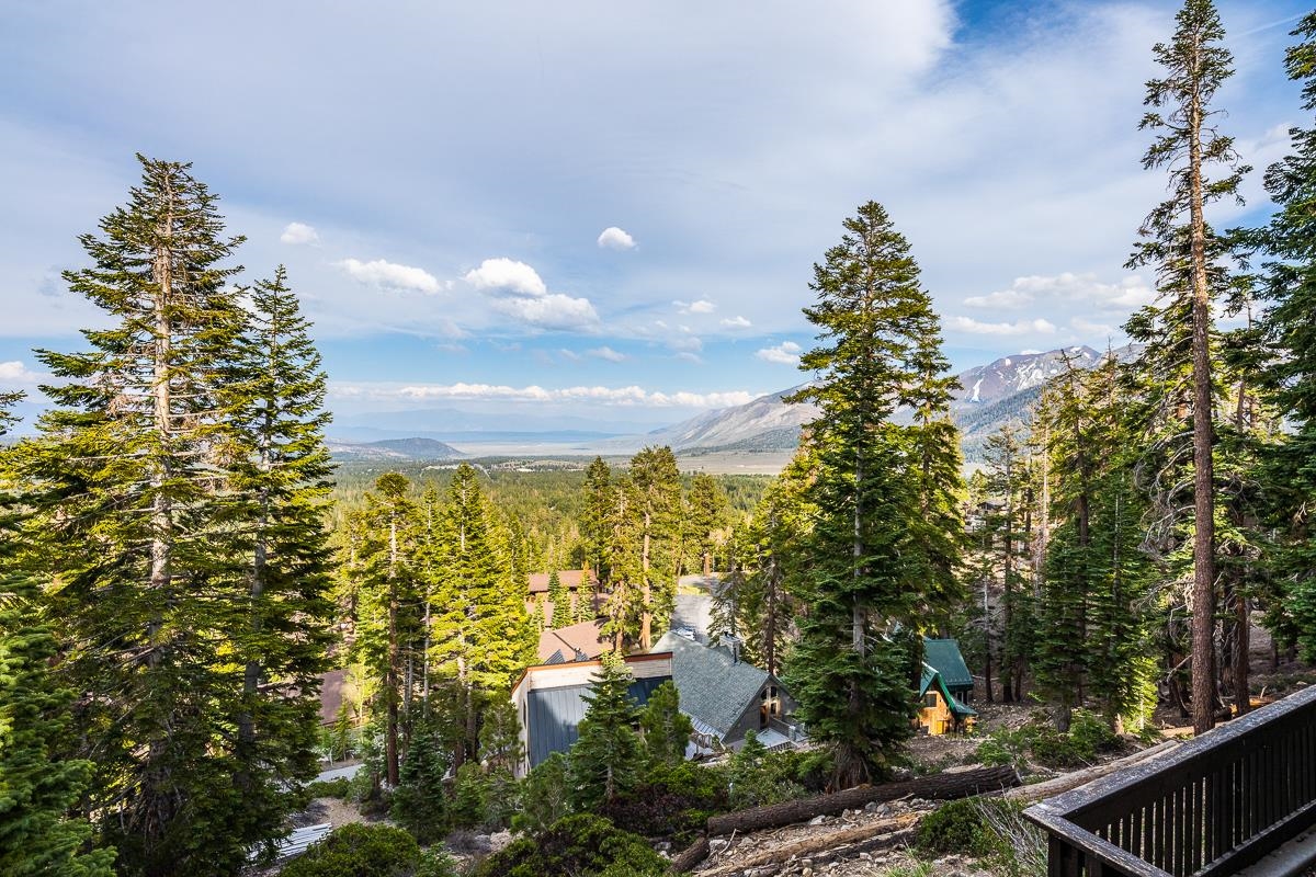 629 John Muir Road Mammoth Lakes, CA 93546 - Photo 15 of 49 a view of outdoor space and garden