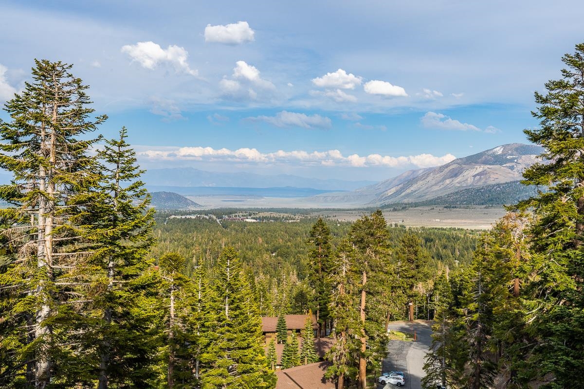 629 John Muir Road Mammoth Lakes, CA 93546 - Photo 17 of 49 a view of a lake
