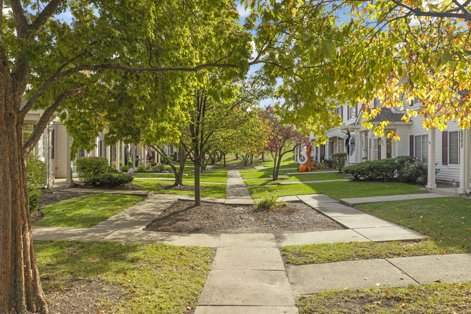 2263 Reflections Drive Aurora, IL 60502 - Photo 28 of 31 a view of a yard with plants and trees