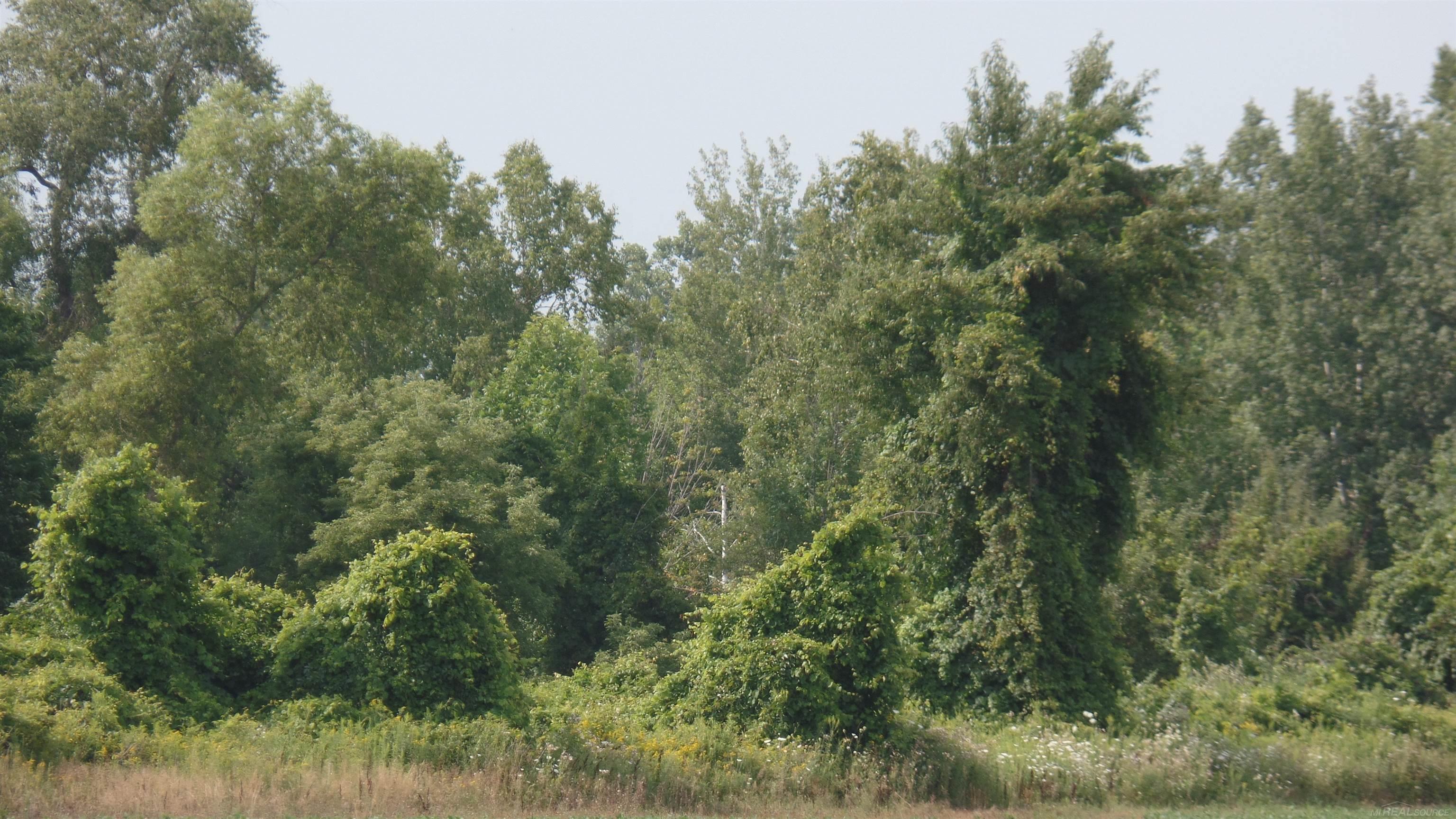 0 French Line Road Carsonville, MI 48419 - Photo 24 of 25