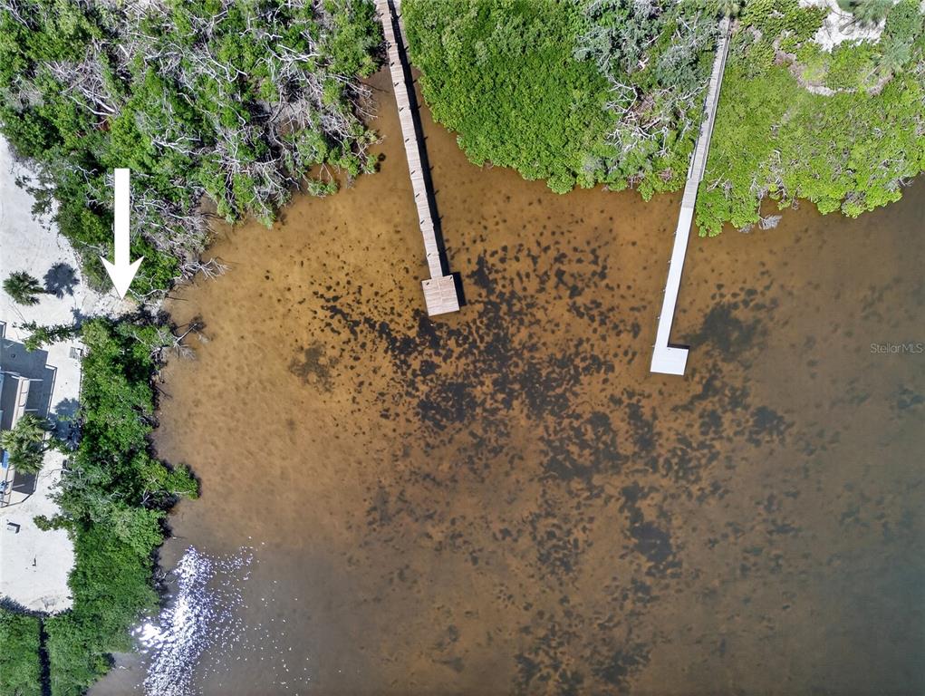 7160 Manasota Key Road Englewood, FL 34223 - Photo 12 of 17 a view of a forest with large trees