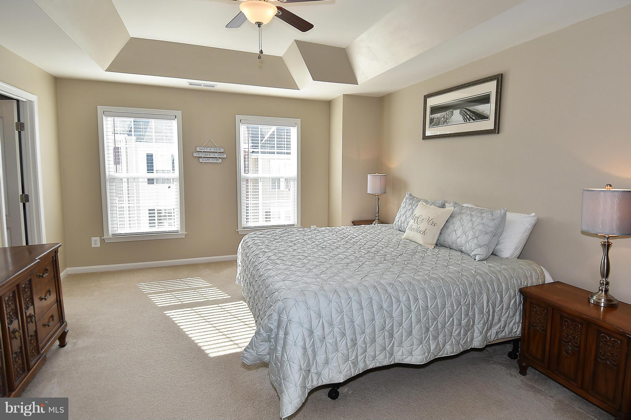 22641 Twitter Square Ashburn, VA 20148 - Photo 17 of 30 Master Suite w/ tray ceiling, fan, walk-in closet