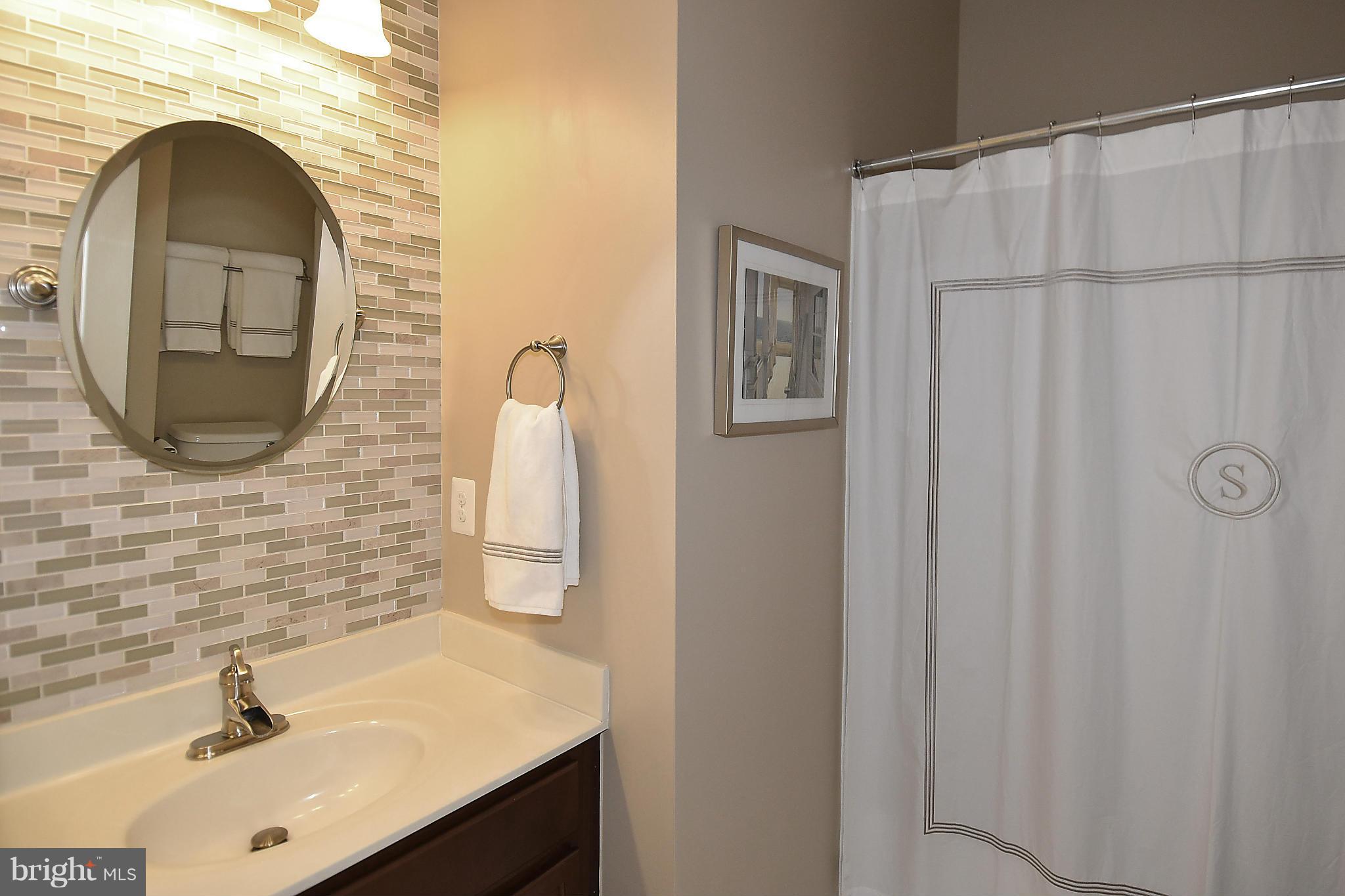 22641 Twitter Square Ashburn, VA 20148 - Photo 25 of 30 Lower level Full Bath w/ upgraded hardware