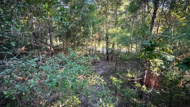 a view of an outdoor space