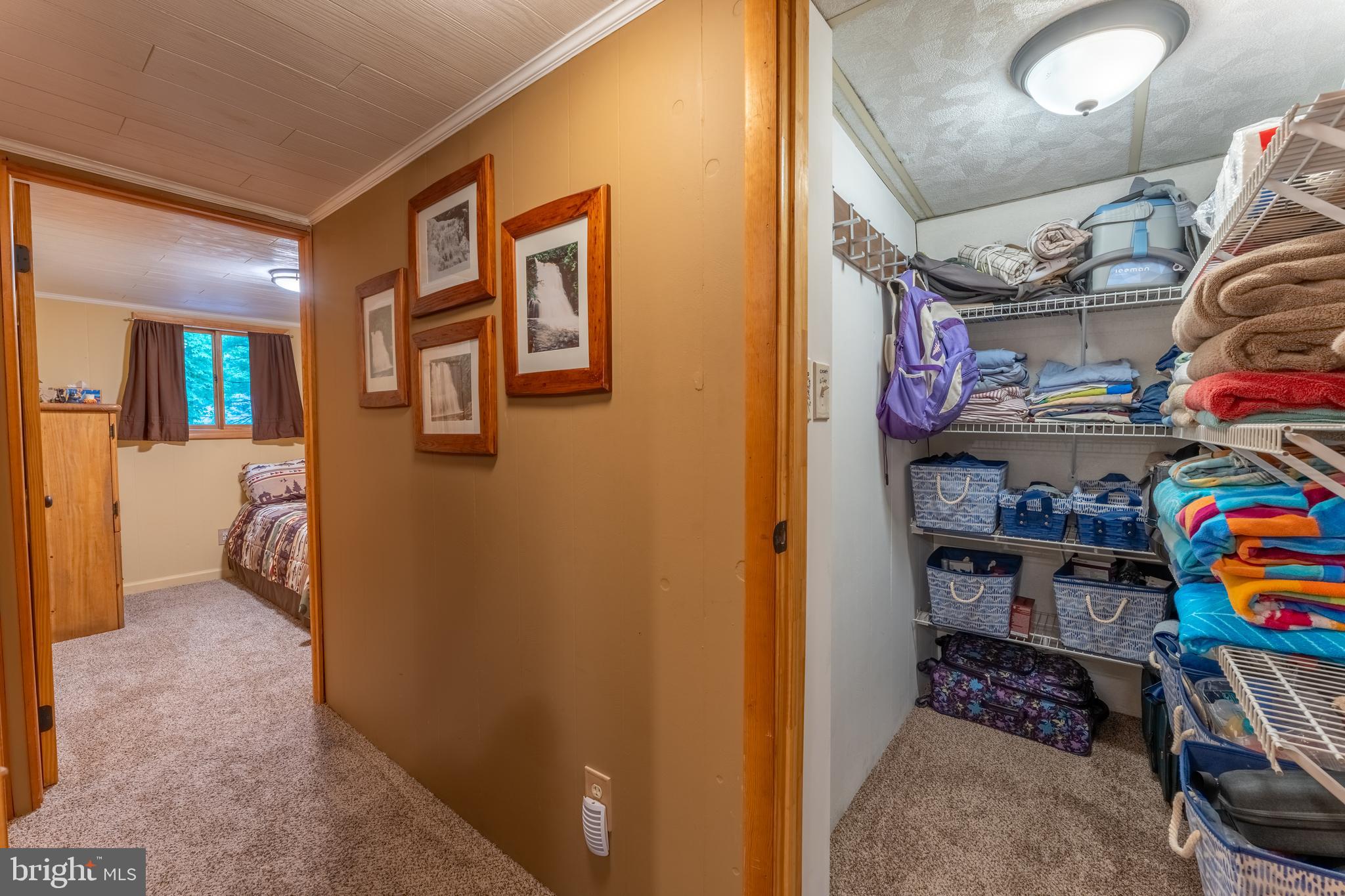 106 Oak Way Road Swanton, MD 21561 - Photo 22 of 47 Large walk in hall/ owners closet