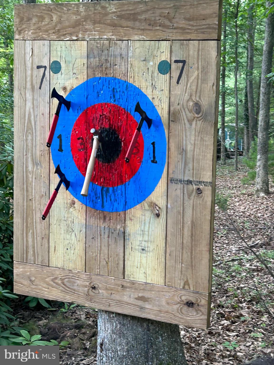 106 Oak Way Road Swanton, MD 21561 - Photo 36 of 47 Ax throwing anyone?