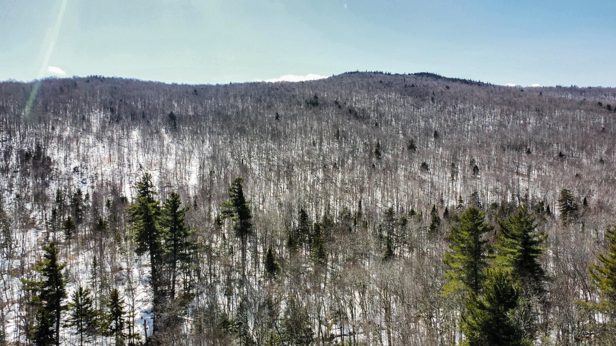 0 Old Warren Road Roxbury, VT 05669 - Photo 5 of 7