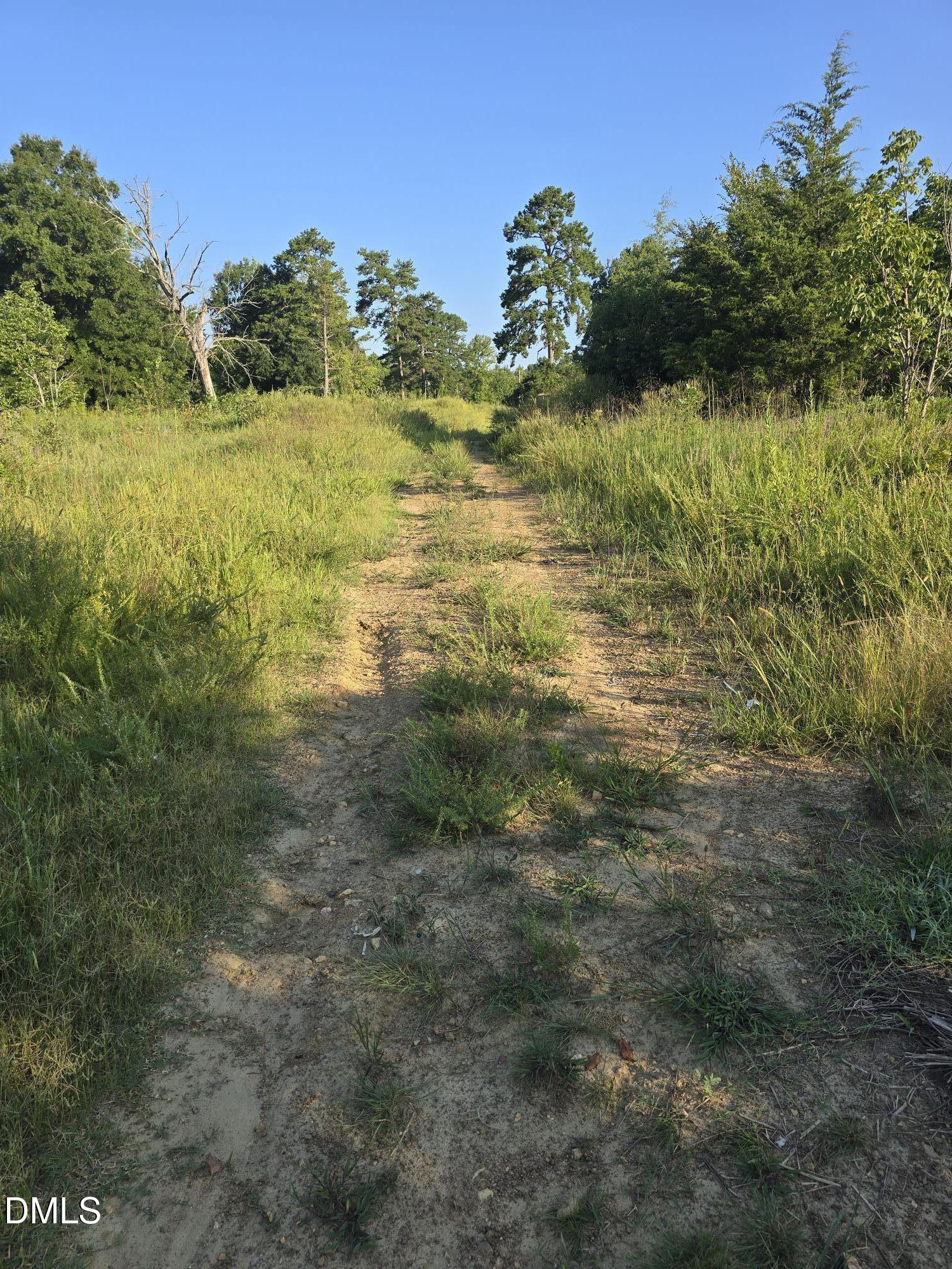 4955 Dailey Store Road Burlington, NC 27217 - Photo 4 of 16 20260903_084149
