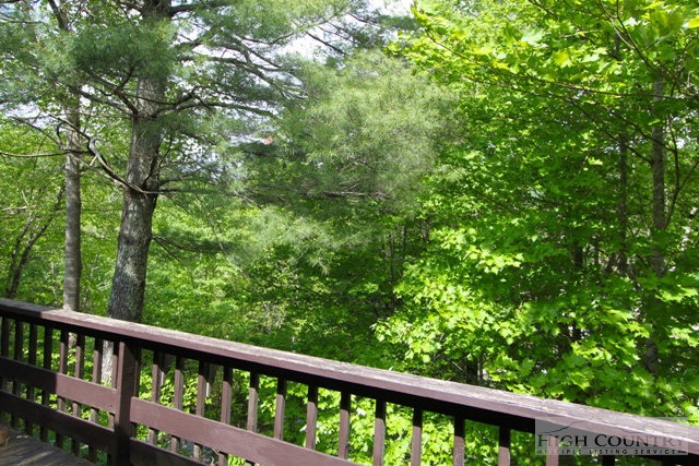 218-3 The Overlook Road, Unit 3 Banner Elk, NC 28604 - Photo 20 of 27 Gallery Image 20