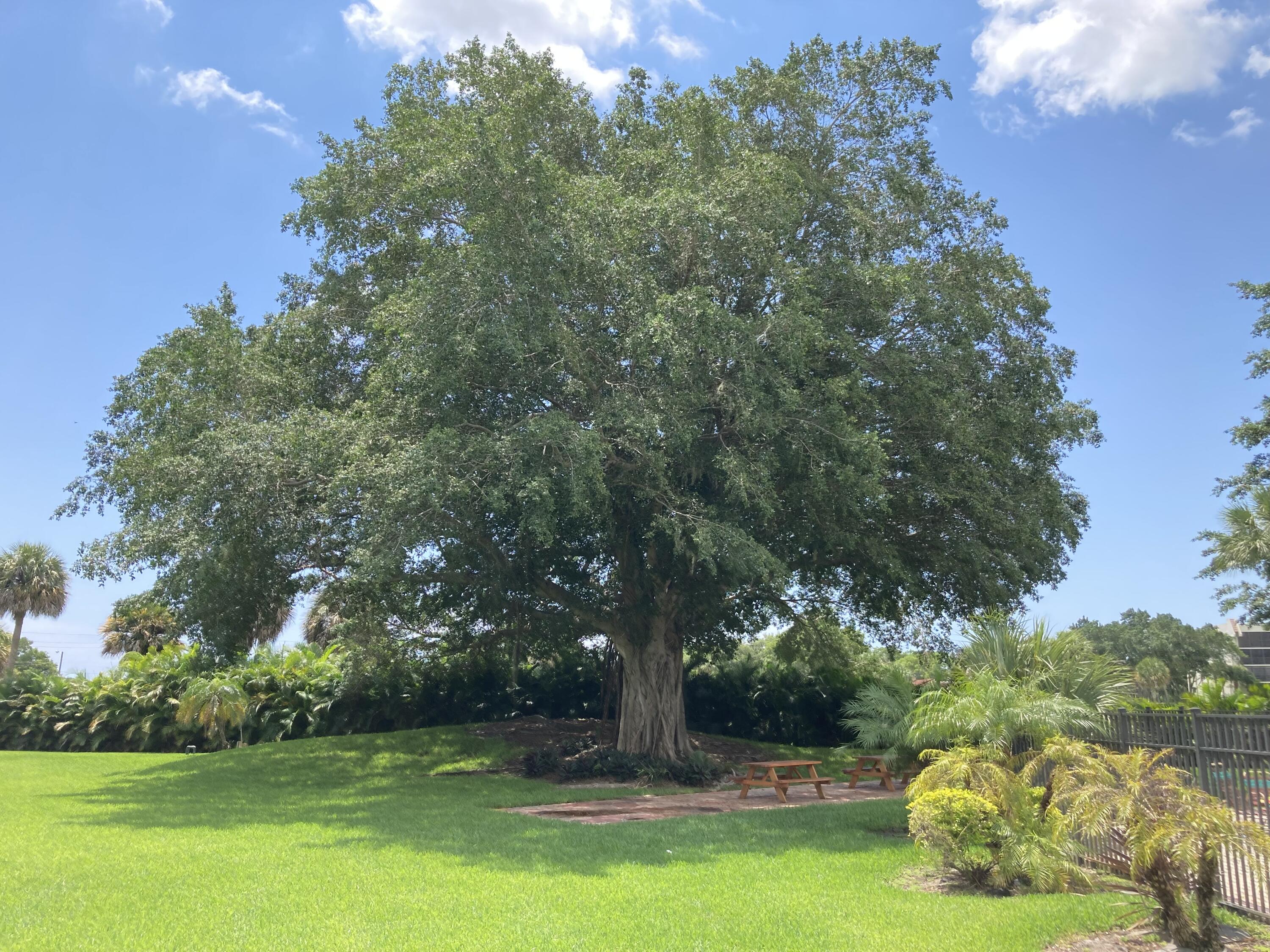 9440 Southwest 8th Street, Unit 301 Boca Raton, FL 33428 - Photo 51 of 51 IMG_1549