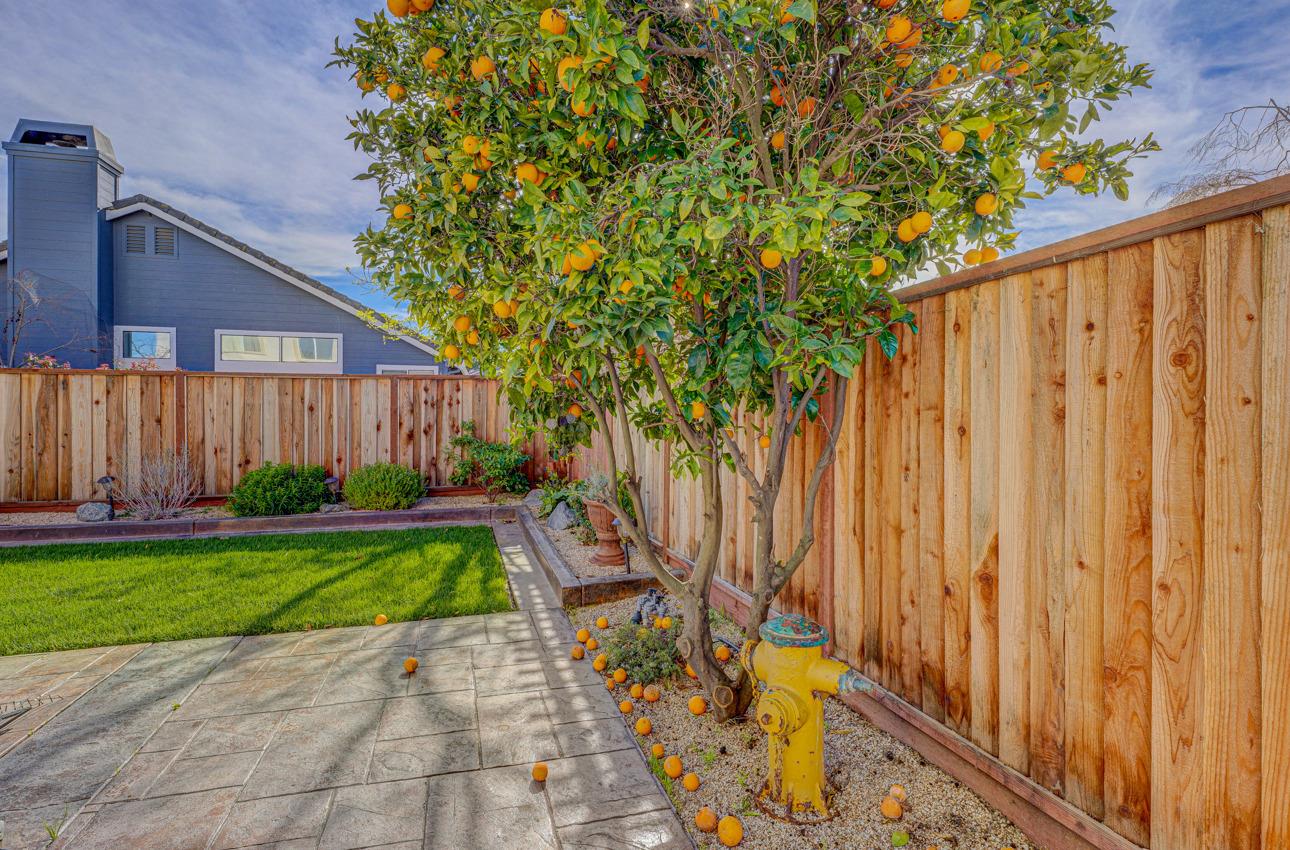 2 Whitman Circle Salinas, CA 93906 - Photo 40 of 41 a view of a backyard with large trees and wooden fence