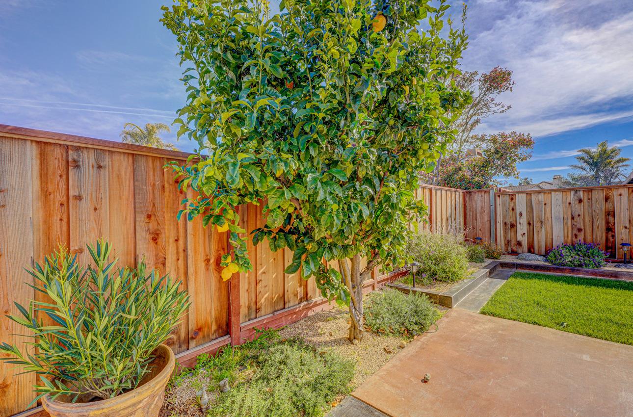 2 Whitman Circle Salinas, CA 93906 - Photo 41 of 41 a view of a backyard with potted plants and wooden fence
