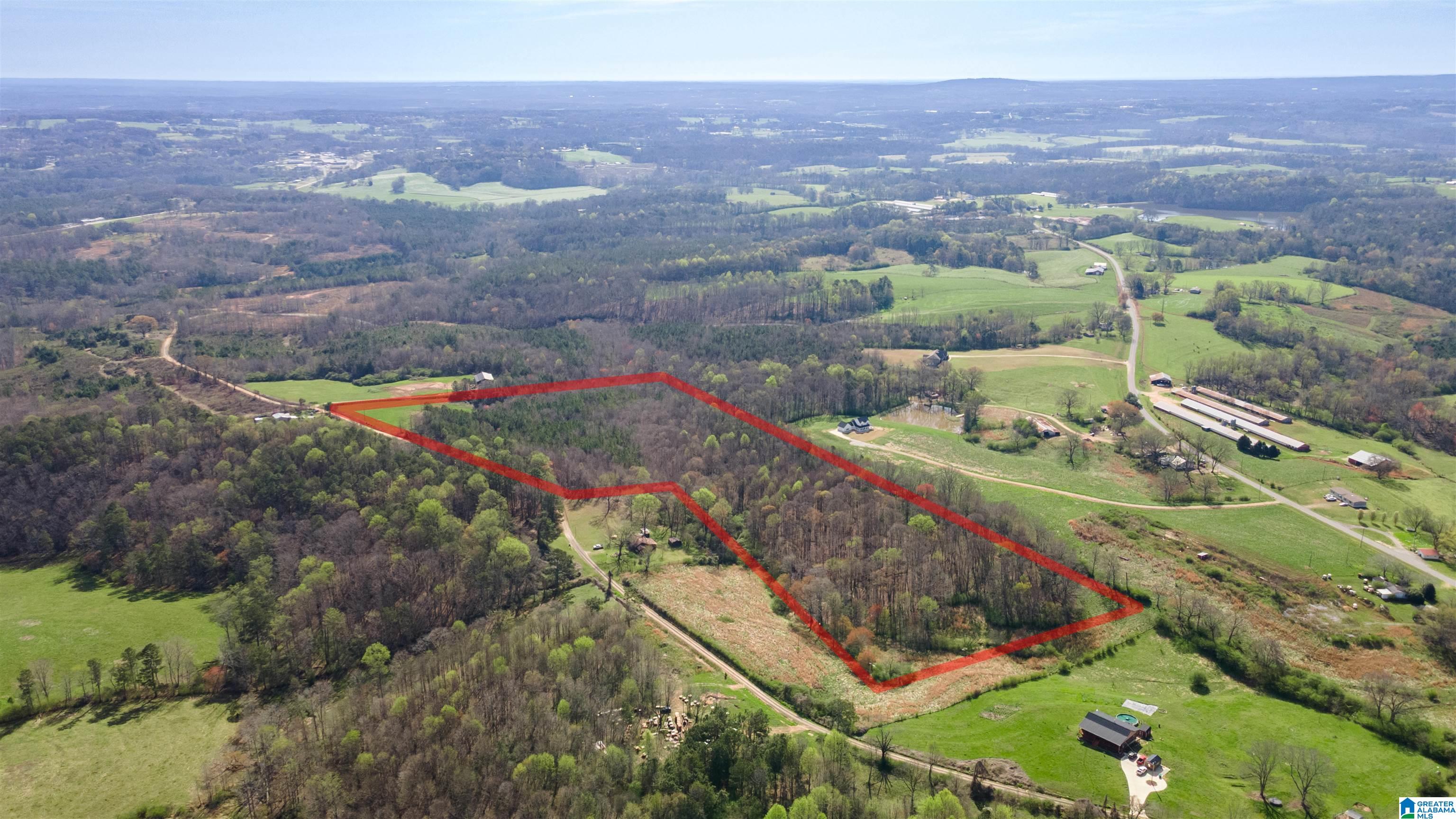 0 County Road 670, Unit 1 Ranburne, AL 36273 - Photo 4 of 18